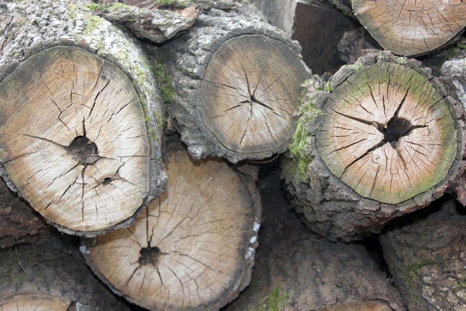 Annual zone firewood usd