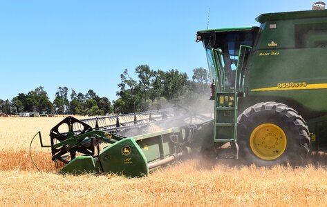 Cereal combine harvester agriculture photo