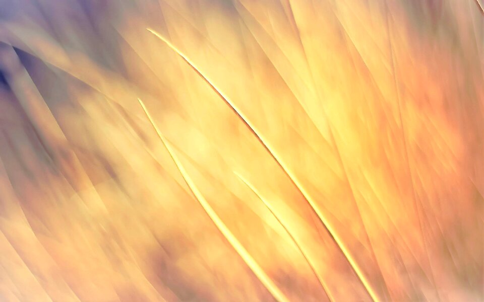 Yellow wall structure