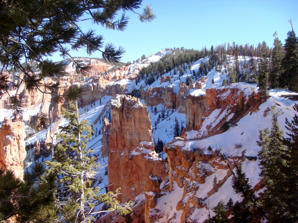 Landscape bryce canyon utah photo