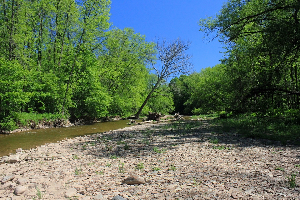 Ontario shoreline landscape