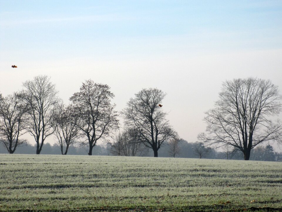 Landscape edge of field field