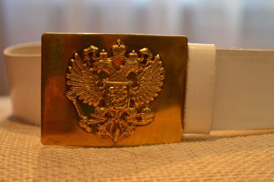 Plaque coat on the belt shape