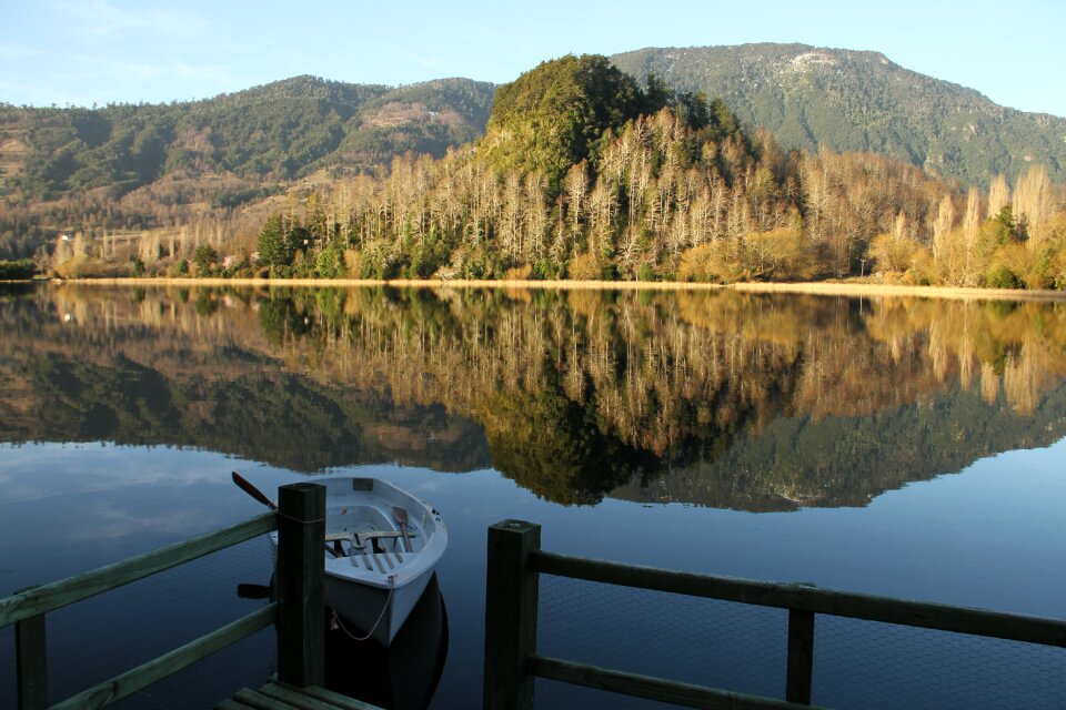 Scenery reflected in water native forest spring