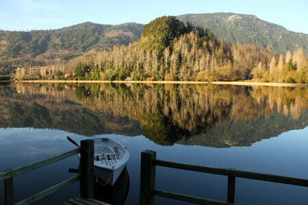 Scenery reflected in water native forest spring