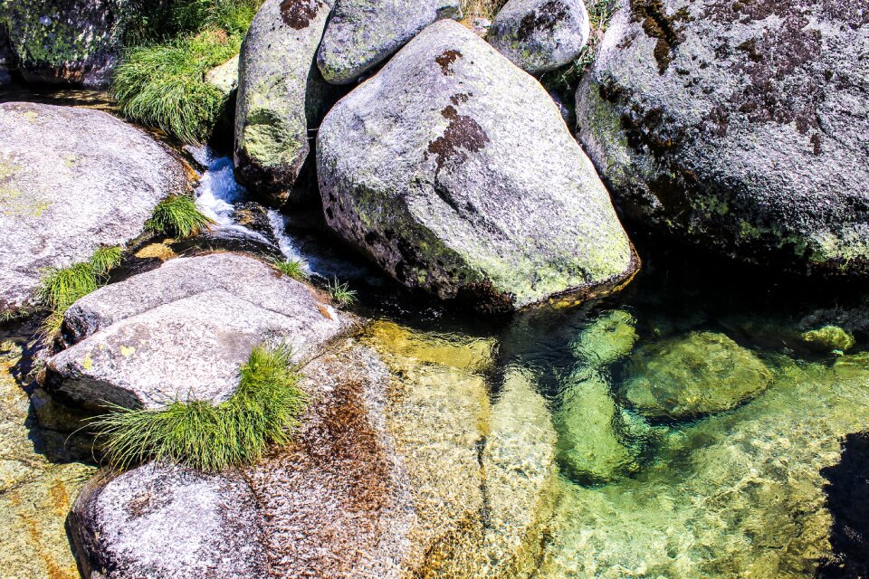 Wild nature beach green