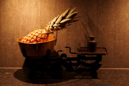 Tropical vintage nutrition