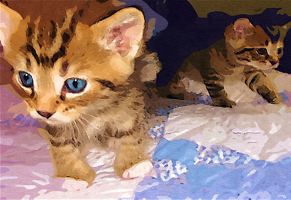 Cute close-up blue eyes