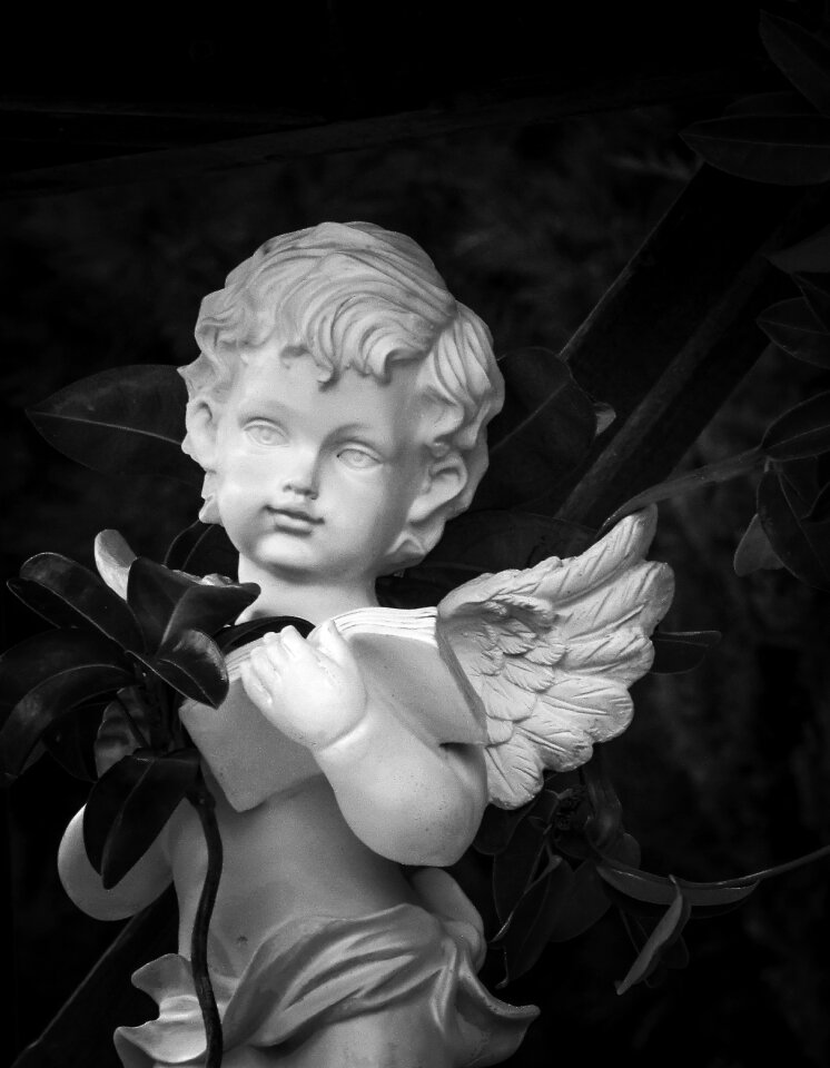 Reading holding angelic