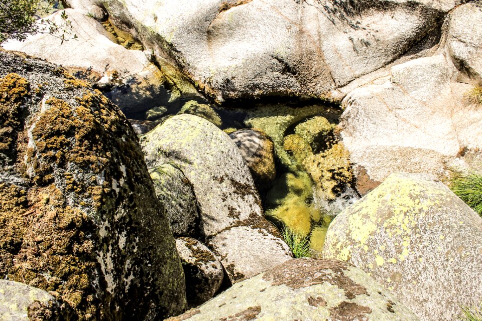 Wild nature beach green