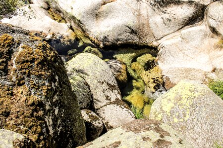 Wild nature beach green