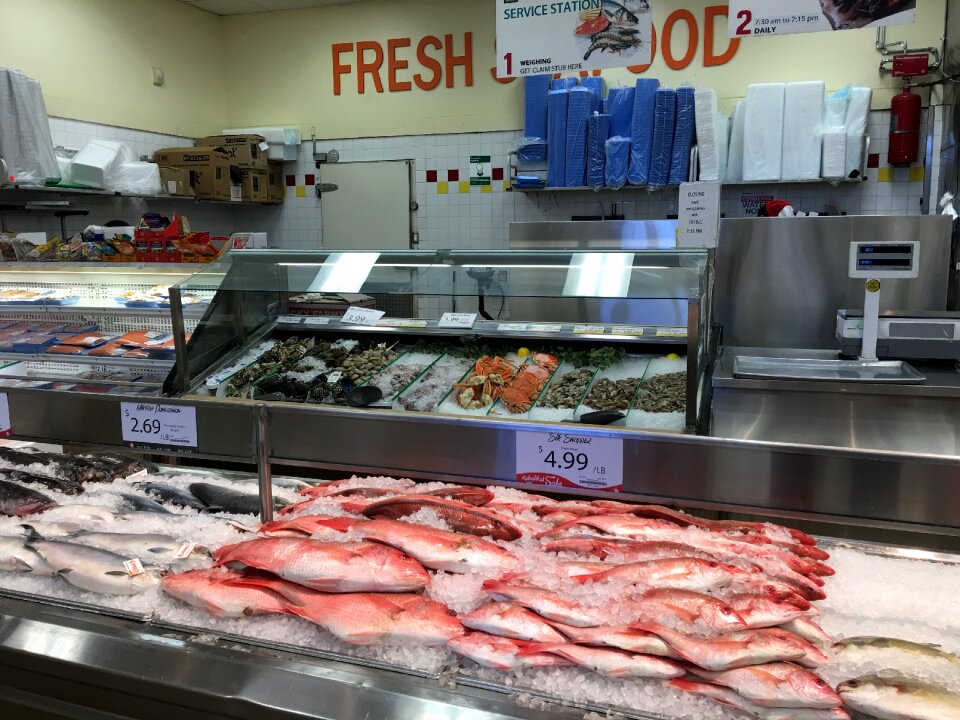 Raw freshness cold