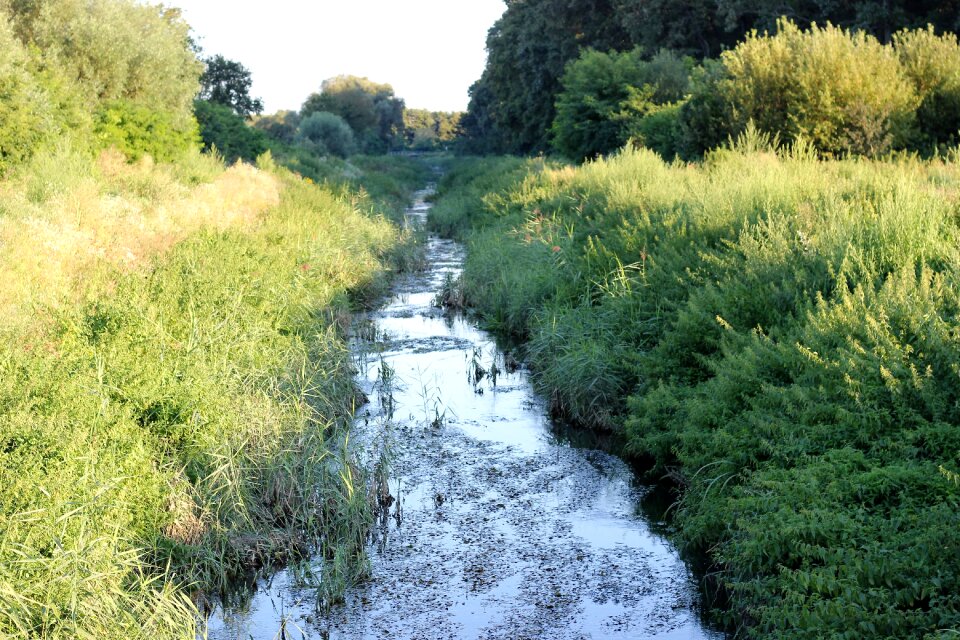 Traditional rural nature