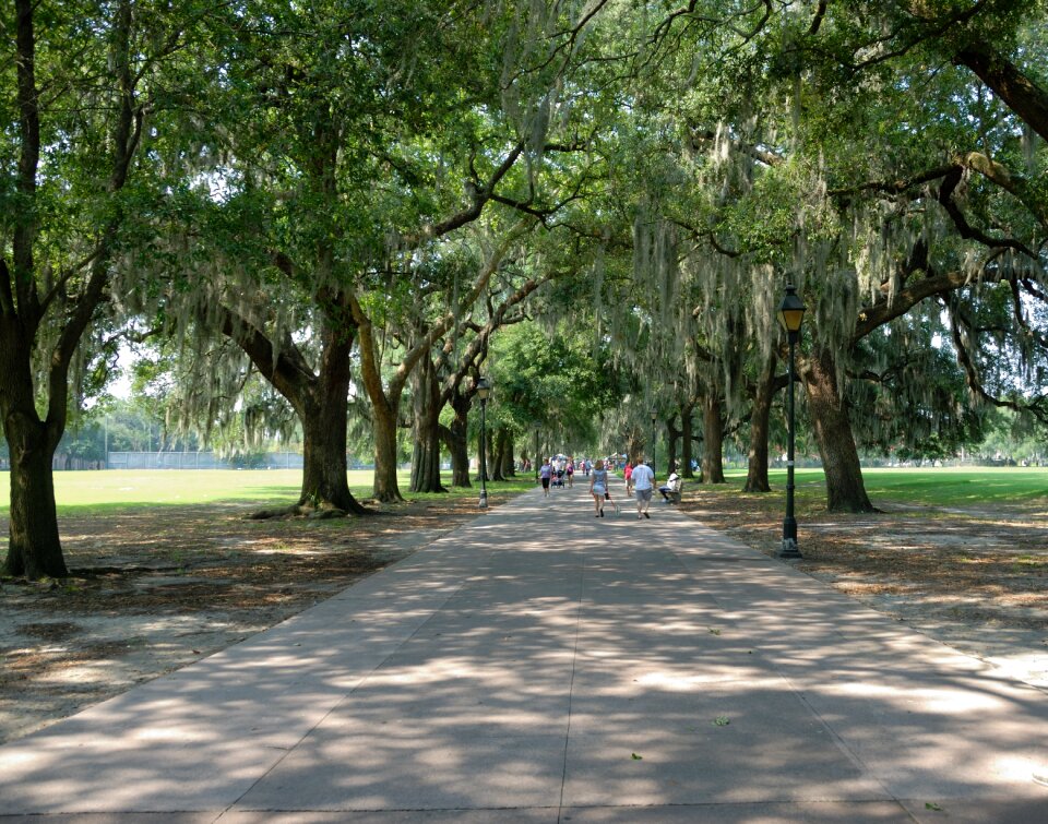 Usa park tourism