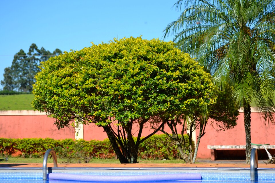 Nature green natural