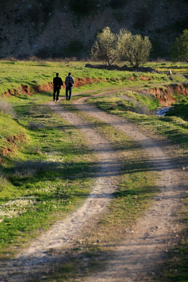 Landscape walk environmental