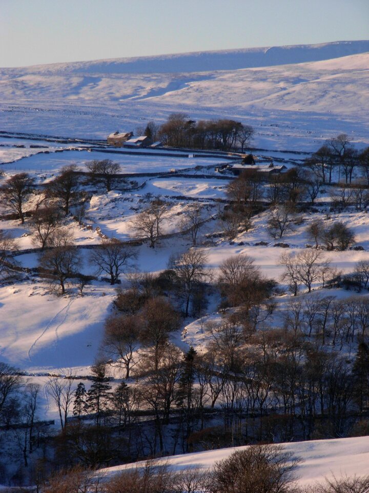 Winter landscape scenic