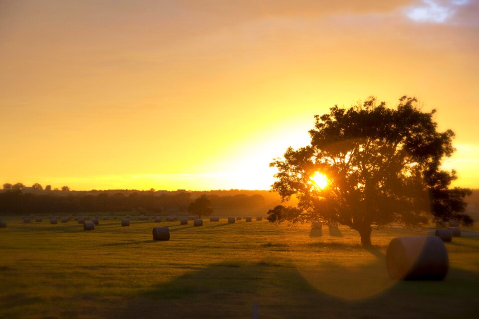 Hay nature light