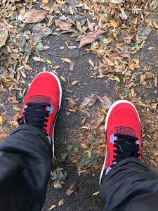 Autumn colors
