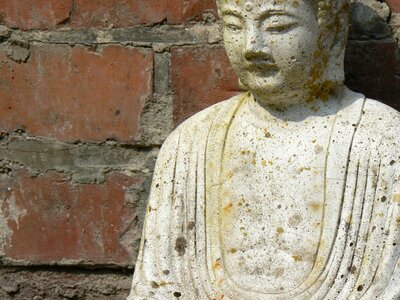 Statue brown buddha