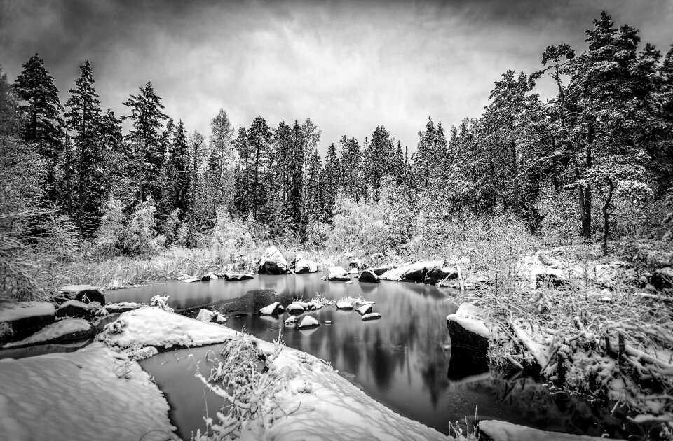 Winter nature white