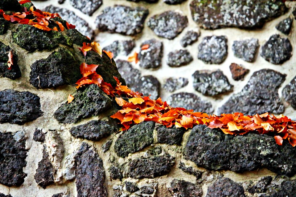 Autumn leaves ruin