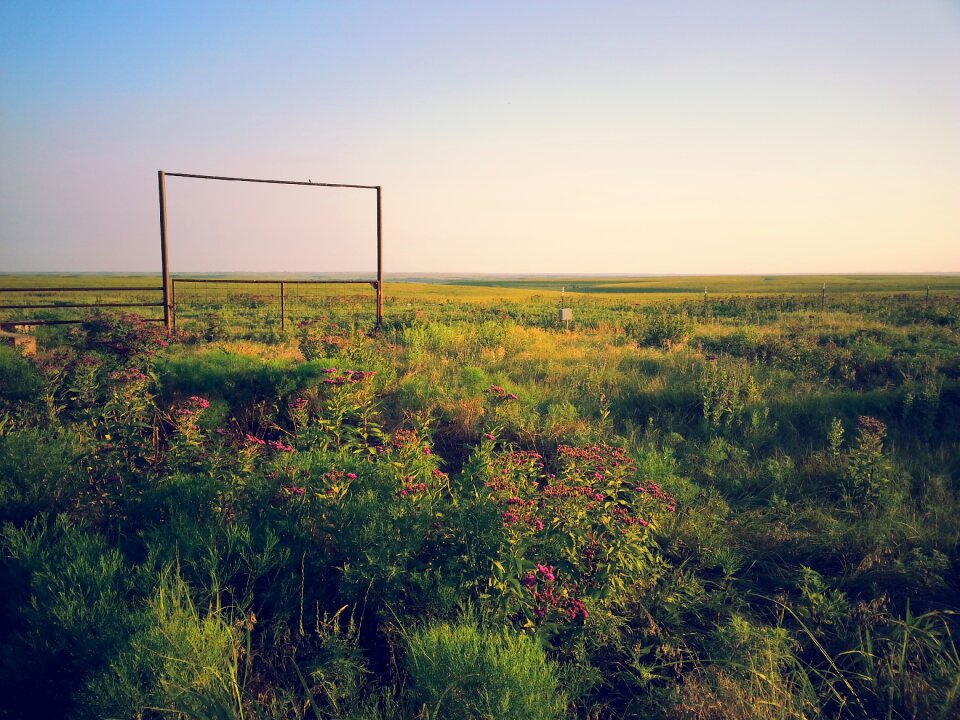 Landscape rural midwest