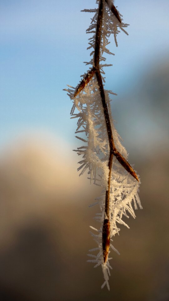 White winter ice photo