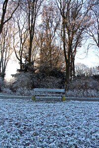 Frost frozen winter magic