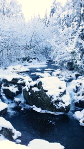 Nature winter white