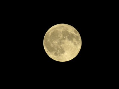 Fuul night yellow