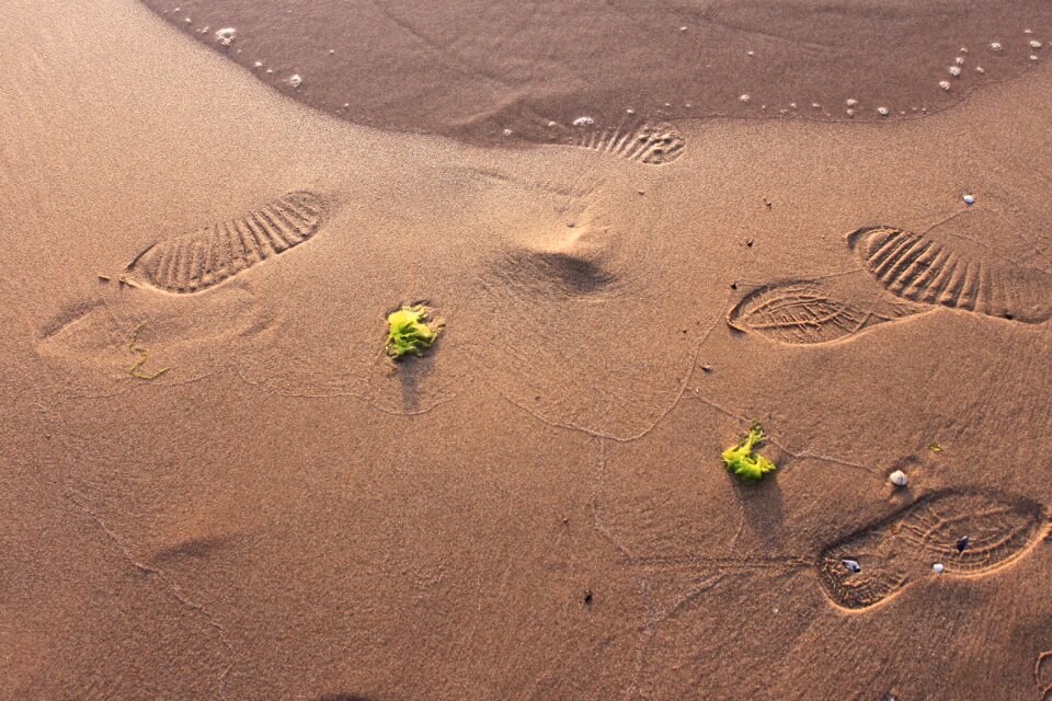 Beach nature light