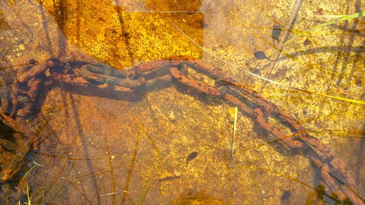 Rusty water bottom