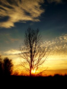 Sunset light the backlight