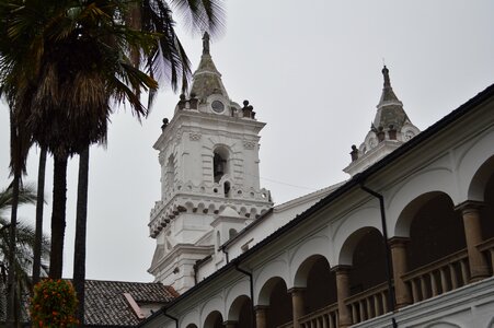 San francisco quito backyard