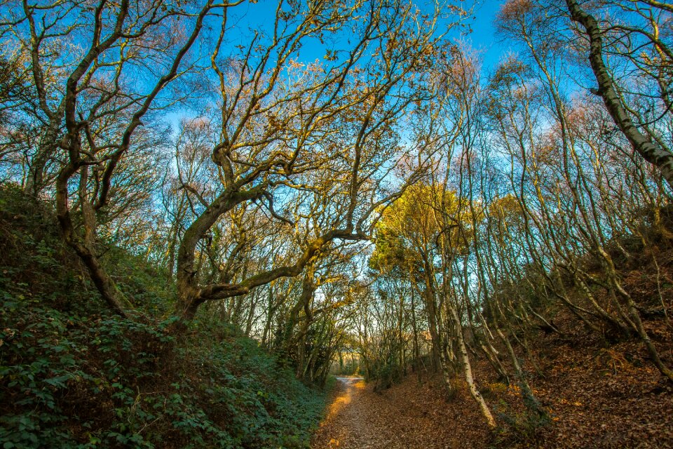 Valley hengistbury head england