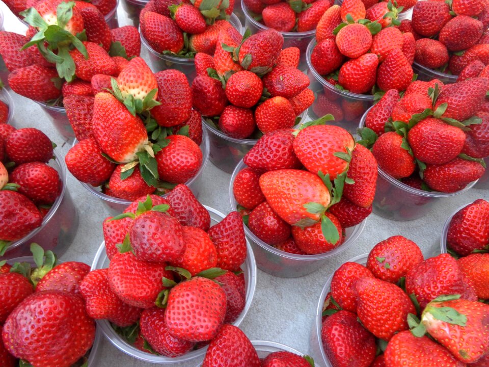 Food market sweet berry