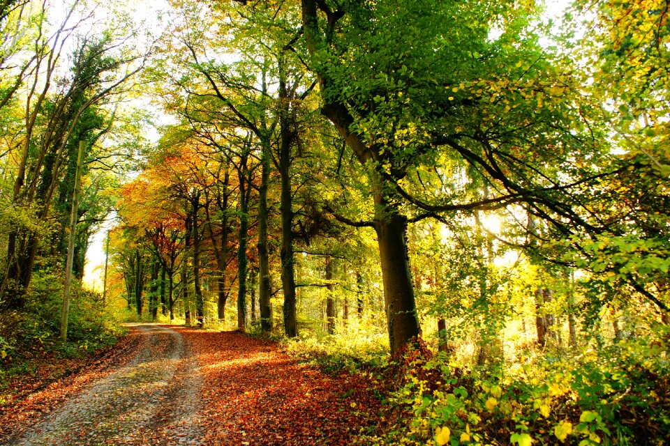 Nature season rural
