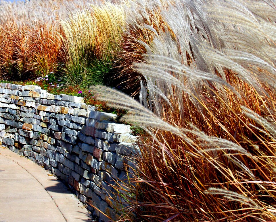 Stone grass wall