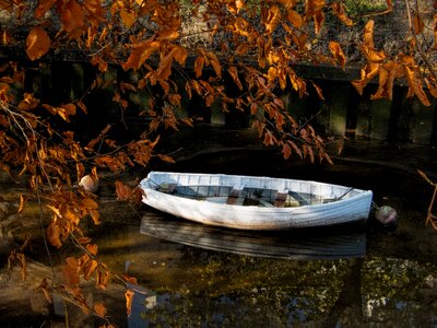 Autumn river tranquility