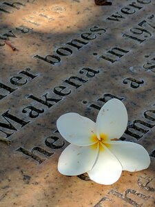 Grave maui photo