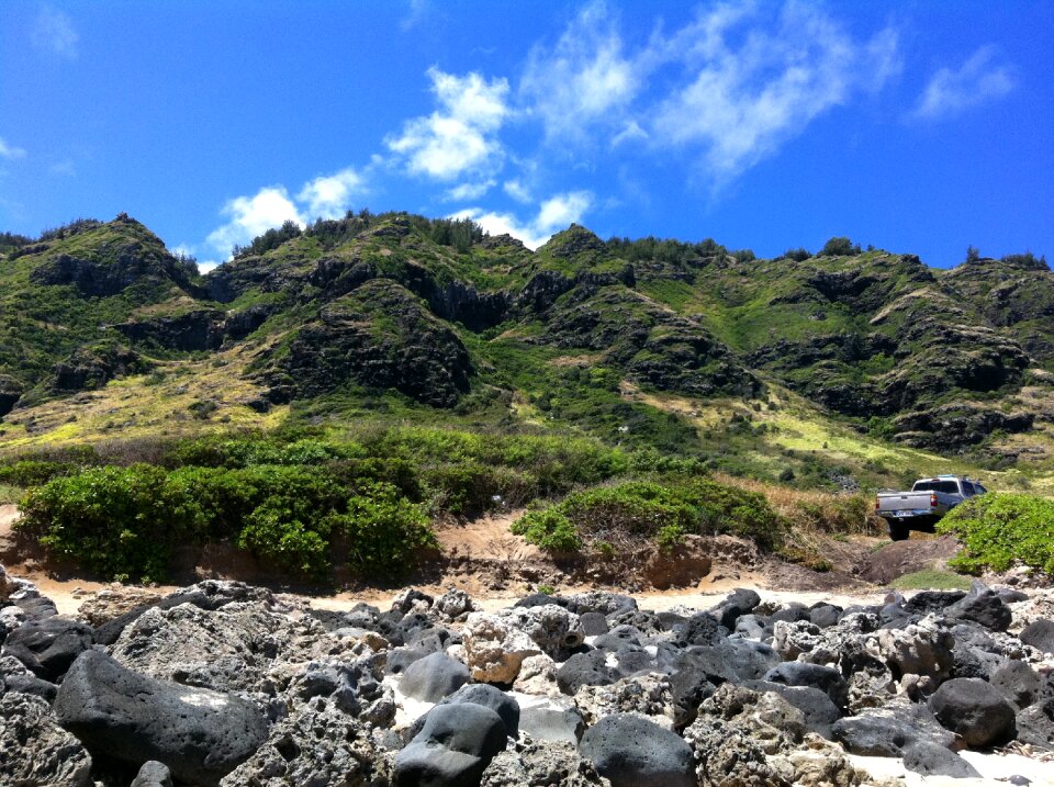Nature pacific green