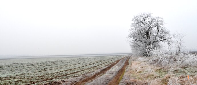 Cold silence nature