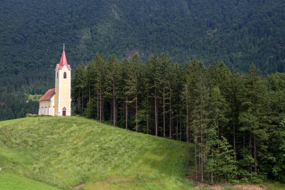 Chapel rural pine trees