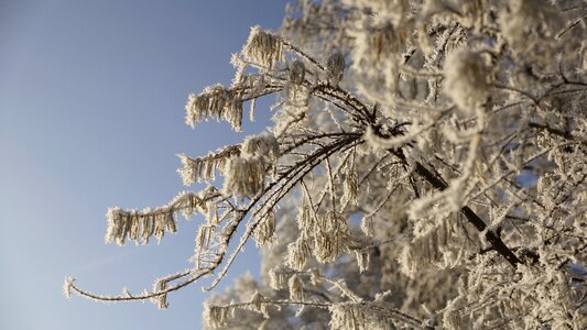 Snow sky blue photo