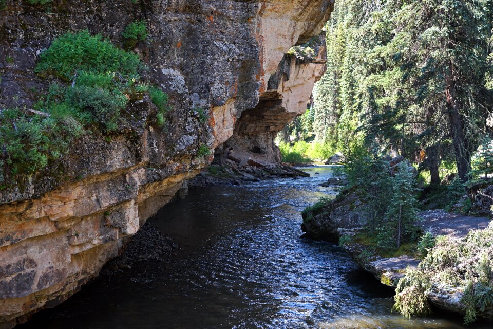 Canyon stream water forest