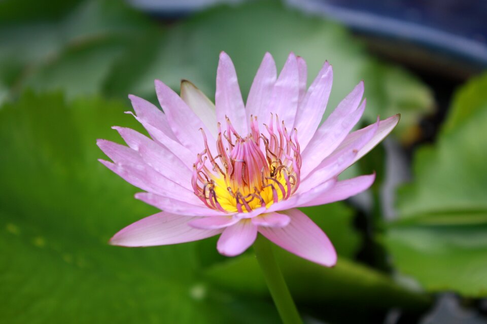 Natural meditation water