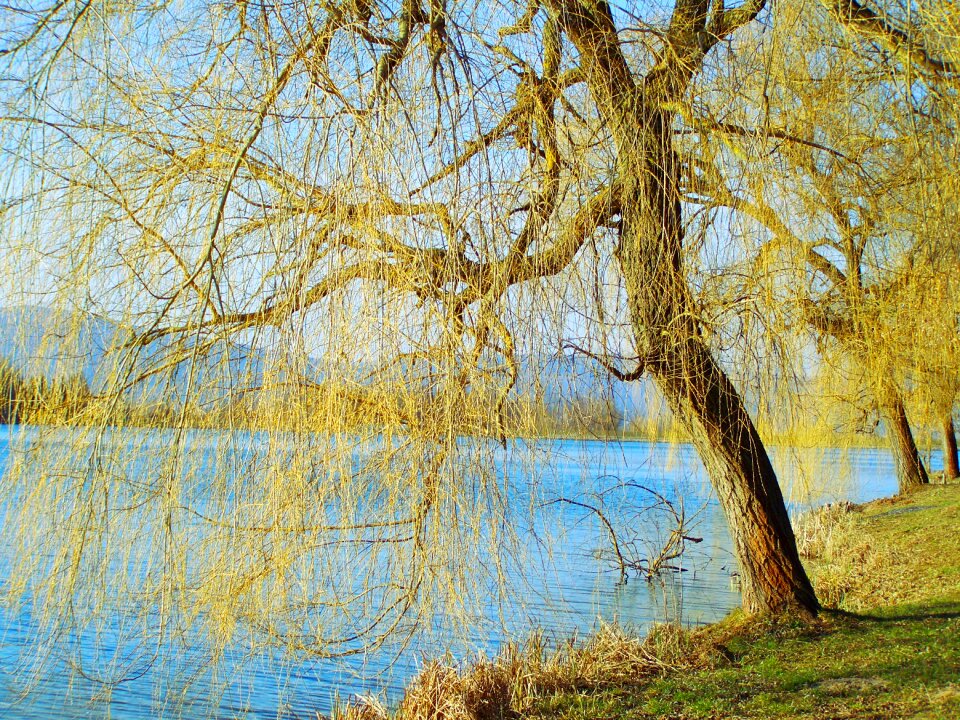 Lake landscape nature