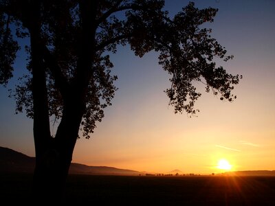 Sunrise dawn nature