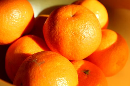 Beneficial orange vitamin photo